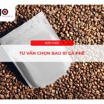 Tư vấn chọn bao bì cà phê: Giải pháp tối ưu cho chất lượng và thương hiệu