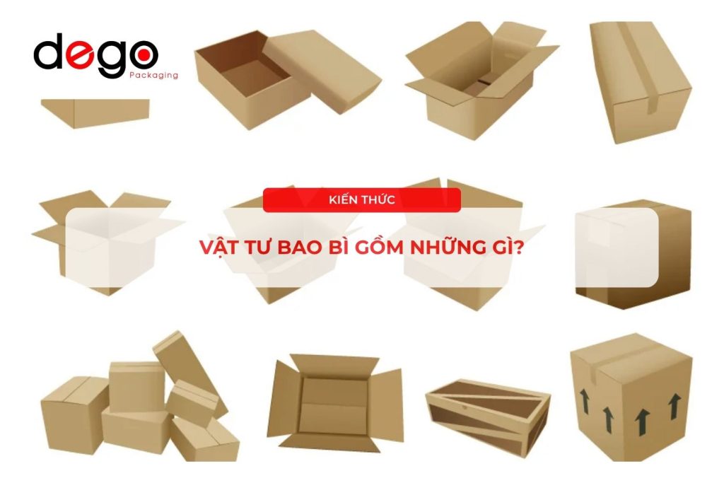 vat-tu-bao-bi-gom-nhung-gi-dego-packaging-1 (1)