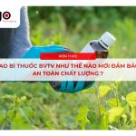 bao bì thuốc BVTV